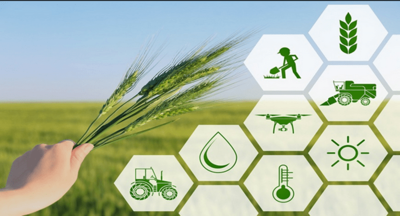 Digitalization of Agriculture: Indian Context