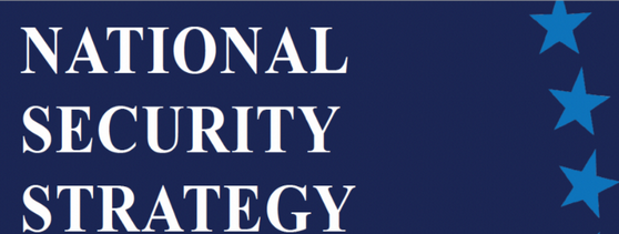 National Security Strategy